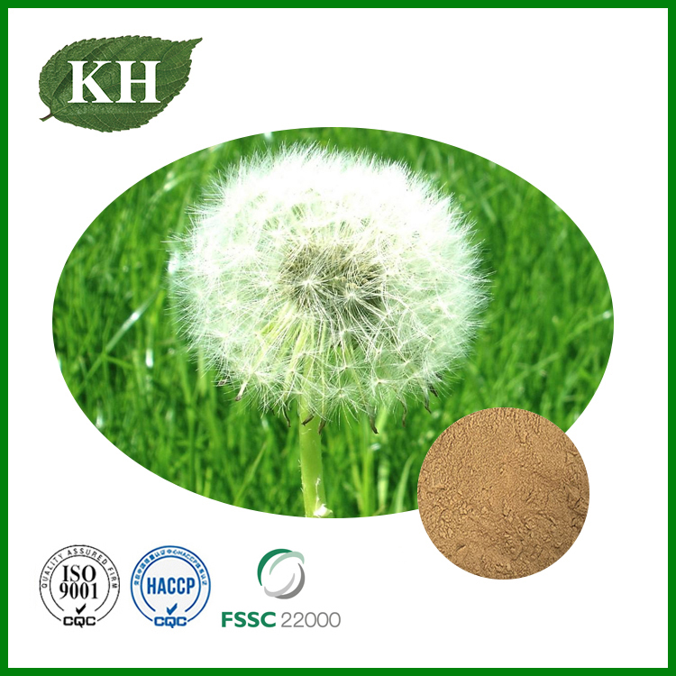 Cardo mariano o diente de león, ¿cuál conviene tomar?