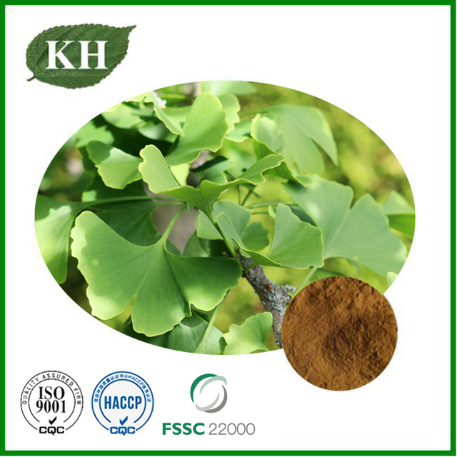 Extracto de hoja de Ginkgo Biloba