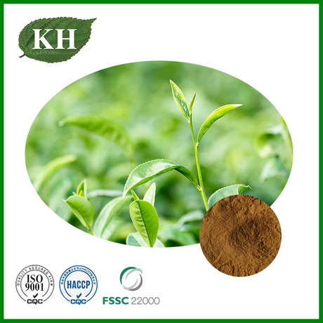 Green Tea Extract.jpg