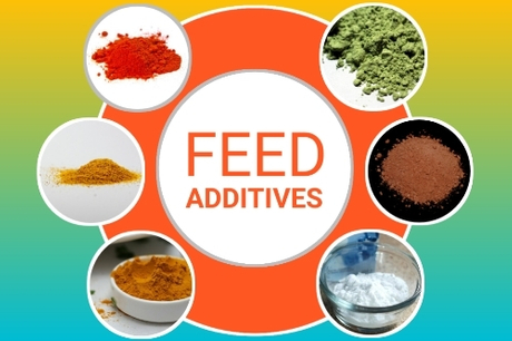 feed-additives.webp.jpg