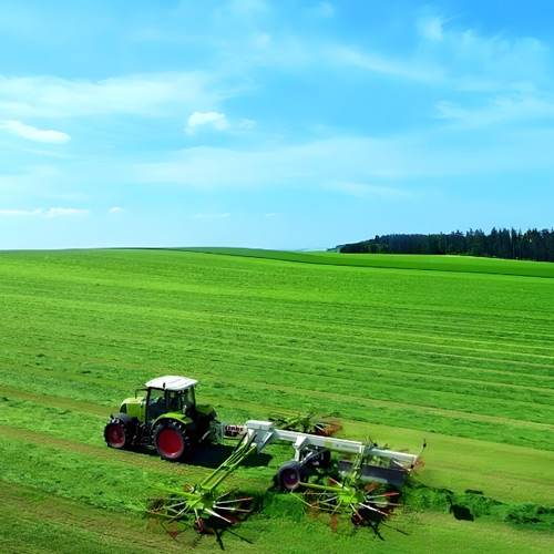 ¿Qué pasa si tomas cardo mariano todos los días?