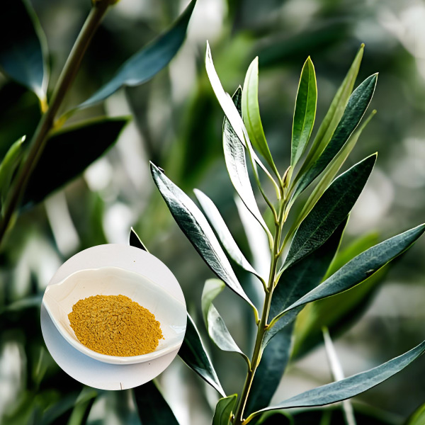 Extracto de hoja de oliva