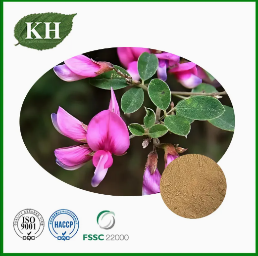Extracto natural de Lespedeza Capitata con 0,2% 0,4% Kaempferitrina
