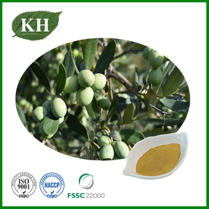 Extracto de hoja y fruta de olivo