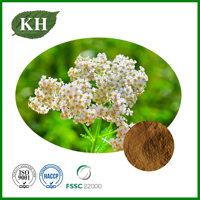 Extracto de Achillea Millefolium