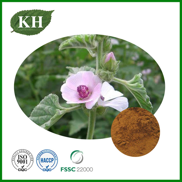 Extracto de Althaea officinalis