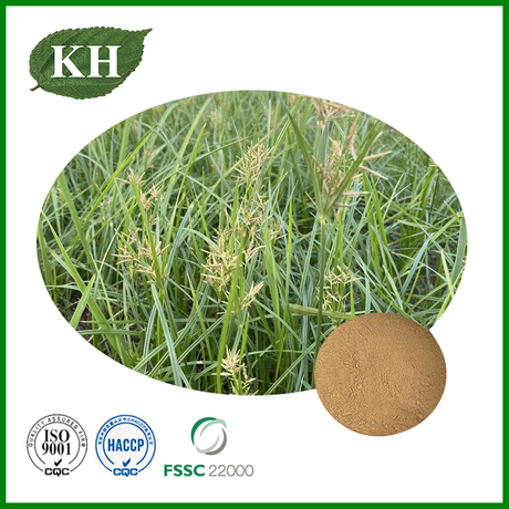 Cyperus Rotundus Extract.jpg