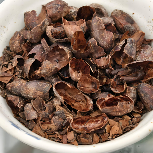 Color de cáscara de cacao