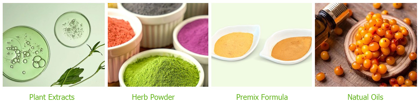 Productos principales de WPE y WHPE