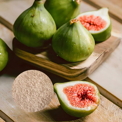 Principales áreas de aplicación de polvo liofilizado de fig Fig
