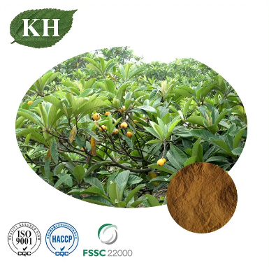 ¿A qué sabe un loquat?