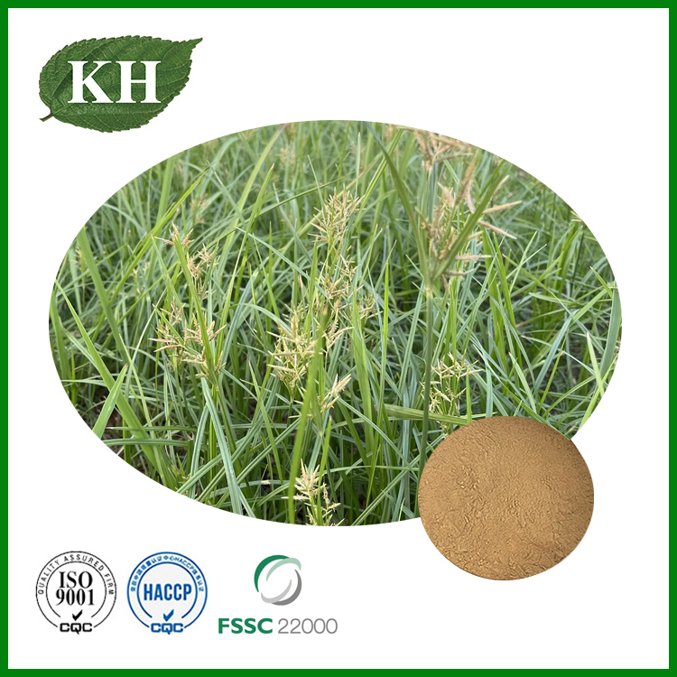 Extracto de Cyperus rotundus