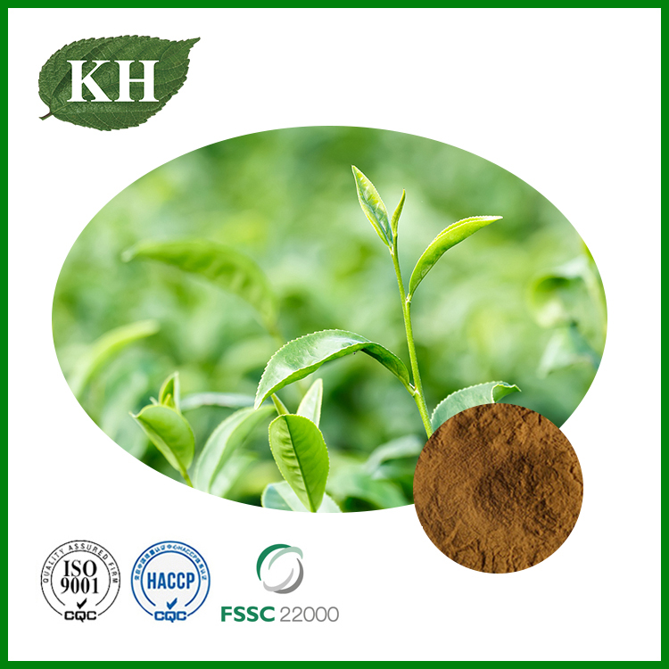 Extracto de té verde (1)