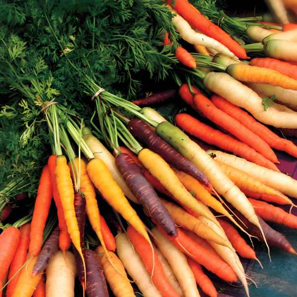 Zanahorias